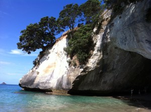 Cathedral Cove