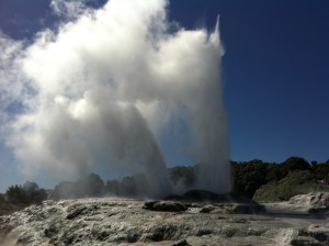 Pohutu Geyser