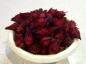 Rosella Nettie's iphone 157